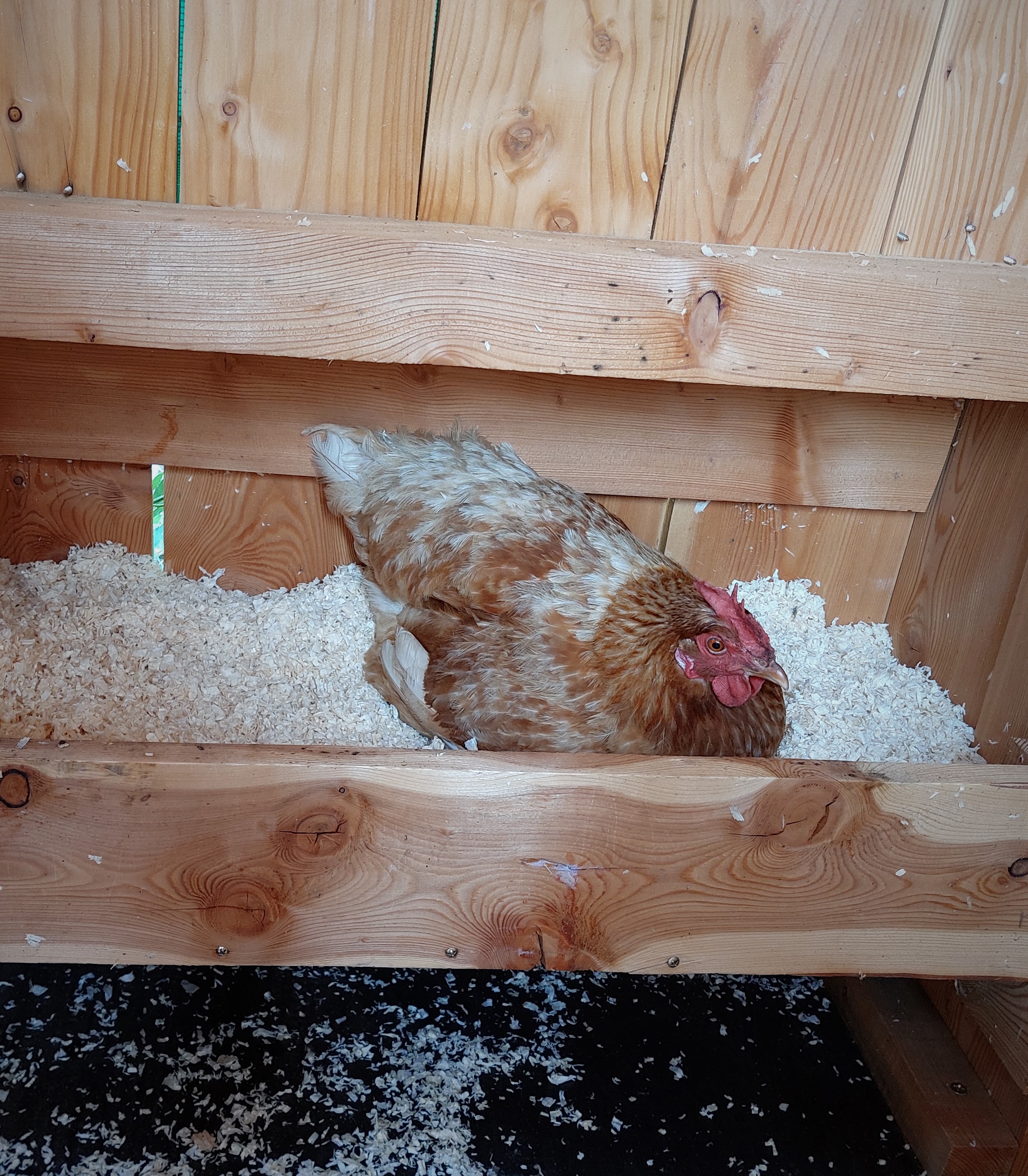 20230618 094833 (2)